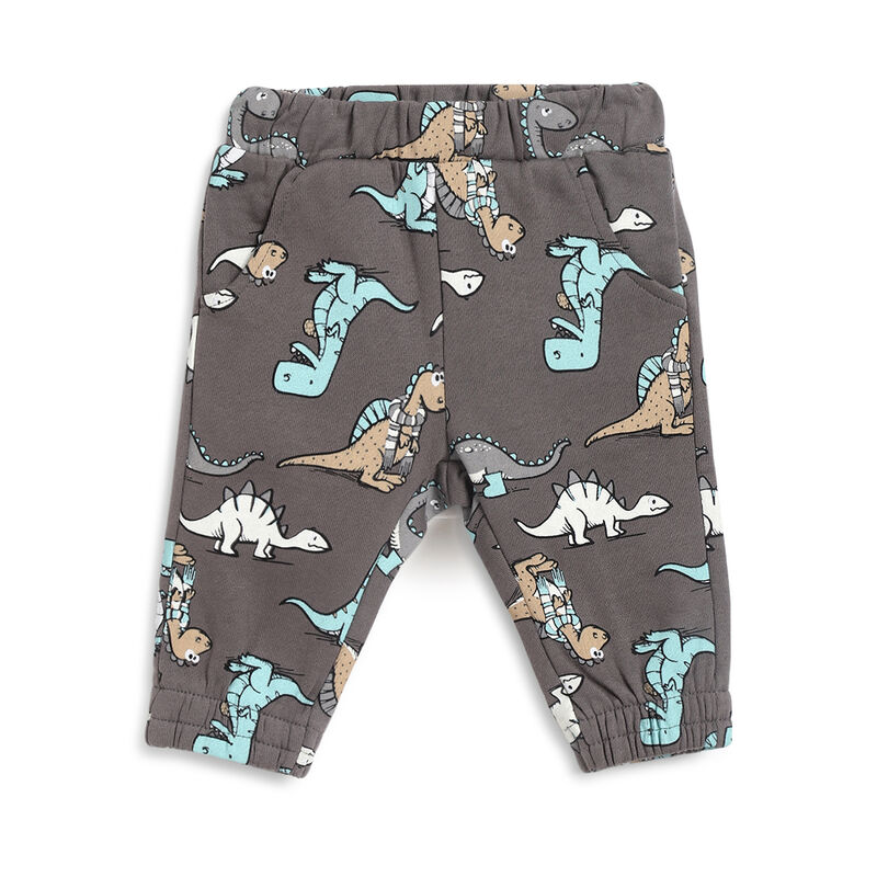 Boys Medium Grey Printed Long Trousers image number 0